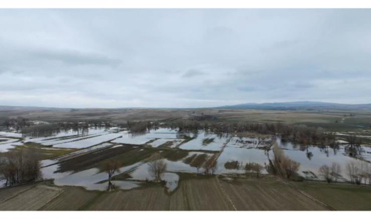 CHP Sarıkaya İlçe Başkanı Mustafa Yalçın’dan Tarım Alarmı: “Acil Müdahale Şart” - GÜNDEM - İnternetin Ajansı